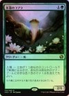 FOILۡۿϡΥ֥/Lotus Cobra[R]IMA