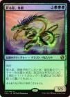 ��FOIL�ۡ����۾����������/Jugan, the Rising Star[��R]��IMA��