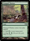 �ڱѡ�ʿ�����Ф�/Tranquil Thicket[��C]��EVG��