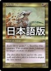 �����ۻ������������/Acidic Sliver[��U]��STH��
