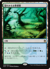 ۰줫̼/Flooded Grove[R]A25
