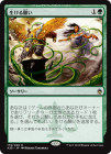 ������������ꤤ/Living Wish[��R]��A25��