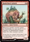 �ڱѡ�¼���餤������/Hamletback Goliath[��R]��CM2��