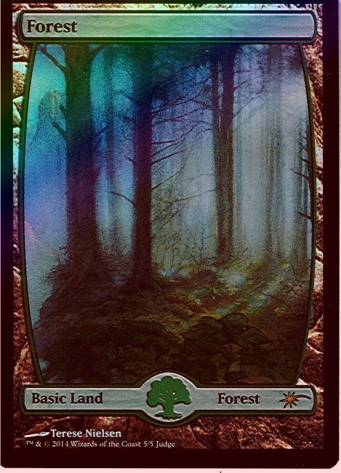 MTG 森 ジャッジ foil