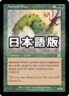 �����۸������ť/Ancient Ooze[��R]��SCG��
