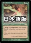 �����ۼ�����ޤ�λ���/Seedborn Muse[��R]��LGN��