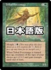 ��������²��������ƻ��/Tribal Forcemage[��R]��LGN��
