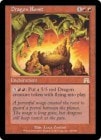 �ڱѡۥɥ饴��ε�©��/Dragon Roost[��R]��ONS��