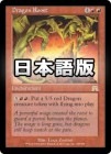 �����ۥɥ饴��ε�©��/Dragon Roost[��R]��ONS��