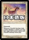 ������ͥ���ʥ���ƥ�����/Graceful Antelope[��R]��ODY��