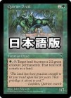 ۥ꡼󡦥ɥ륤/Quirion Druid[R]VIS