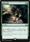 /Vivid Revival[R]GRN