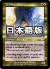 ��������Ϯ������ƻ��/Meddling Mage[��R]��PLS��