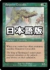 �����۹��륯����������/Emperor Crocodile[��R]��UDS��