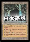 �����ۥ���������饦�ɤο�/Skyshroud Forest[����R]��TMP��