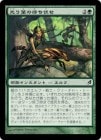 �����۸����դ��Ԥ�����/Gilt-Leaf Ambush[��U]��LRW��