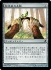 ��������ϲ�Ԥξ���/Wanderer's Twig[̵��C]��LRW��