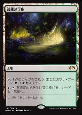 MTG 日本語 育成泥炭地 foil モダンホライゾン 日】育成泥炭地/Nurturing Peatland[土地R]【MH1】 | モダン以下・特殊