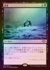 FOILۡۿ/Dead of Winter[R]MH1