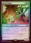 ��FOIL�ۡ����ۿ������α��ۼ�/Deep Forest Hermit[��R]��MH1��
