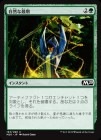 �����ۼ����ʺǴ�/Natural End[��C]��M20��