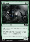 ���������ꤲ����/Netcaster Spider[��C]��M20��