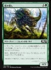�������Ф߲���/Thicket Crasher[��C]��M20��