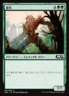 ����������/Vorstclaw[��C]��M20��
