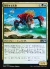 ������ȯ����������/Risen Reef[��U]��M20��