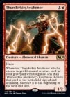 �ڱѡ���²�θƤӳФޤ�/Thunderkin Awakener[��R]��M20��