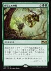 ���ݥ����10��Ը���������۸Ʊ������ƽ�/Shared Summons[��R]��M20��