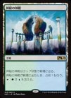 �����ۿ���ο���/Temple of Mystery[����R]��M20��