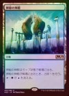 ���ݥ����10��Ը������FOIL�ۡ����ۿ���ο���/Temple of Mystery[����R]��M20��