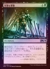 ���ݥ����10��Ը������FOIL�ۡ����۳����ʾ���/Noxious Grasp[��U]��M20��