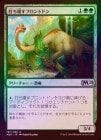 ���ݥ����10��Ը������FOIL�ۡ������Ǥ������֥���ȥɥ�/Thrashing Brontodon[��U]��M20��