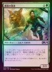 ���ݥ����10��Ը������FOIL�ۡ����ۿ��Ӥ�ͦ��/Woodland Champion[��U]��M20��