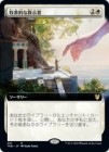�������Ҳ�Ū�ʶ�����/Idyllic Tutor[��R]��THB��[��ĥ������]