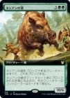 �����ۥͥ��������/Nessian Boar[��R]��THB��[��ĥ������]
