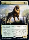 ��������Ƽ��饤����/Bronzehide Lion[¿��R]��THB��[��ĥ������]