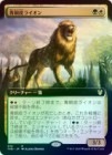 ��FOIL�ۡ�������Ƽ��饤����/Bronzehide Lion[¿��R]��THB��[��ĥ������]