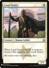 �ڱѡ��������⾥/Loyal Sentry[��C]��MB1��