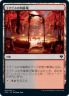 �����ۥ饯�ɥ���������/Rakdos Carnarium[����C]��C20��