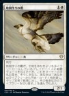 Ͽ޺/Cartographer's Hawk[R]C20