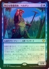 �����ۡ�Foil��Ǯ�����뵷�ѻա��ϥ����/Haldan, Avid Arcanist[��R]��C20��