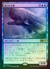 ��FOIL�ۡ������ɤ����/Pursued Whale[��R]��M21��