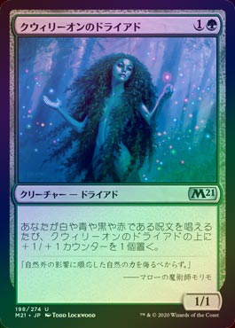 ☆SALE☆【FOIL】【日】クウィリーオンのドライアド/Quirion Dryad[緑U