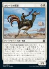 �����ۥ��ӡ������Ƴ/Kabira Outrider[��C]��ZNR��