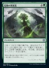 ��������ư�κ���Ĺ/Roiling Regrowth[��U]��ZNR��