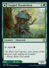 �ڱѡ����ߤĤ����̾���/Tangled Florahedron[��U]��ZNR��