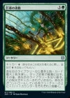 �����۵𿹤���ư/Vastwood Surge[��U]��ZNR��
